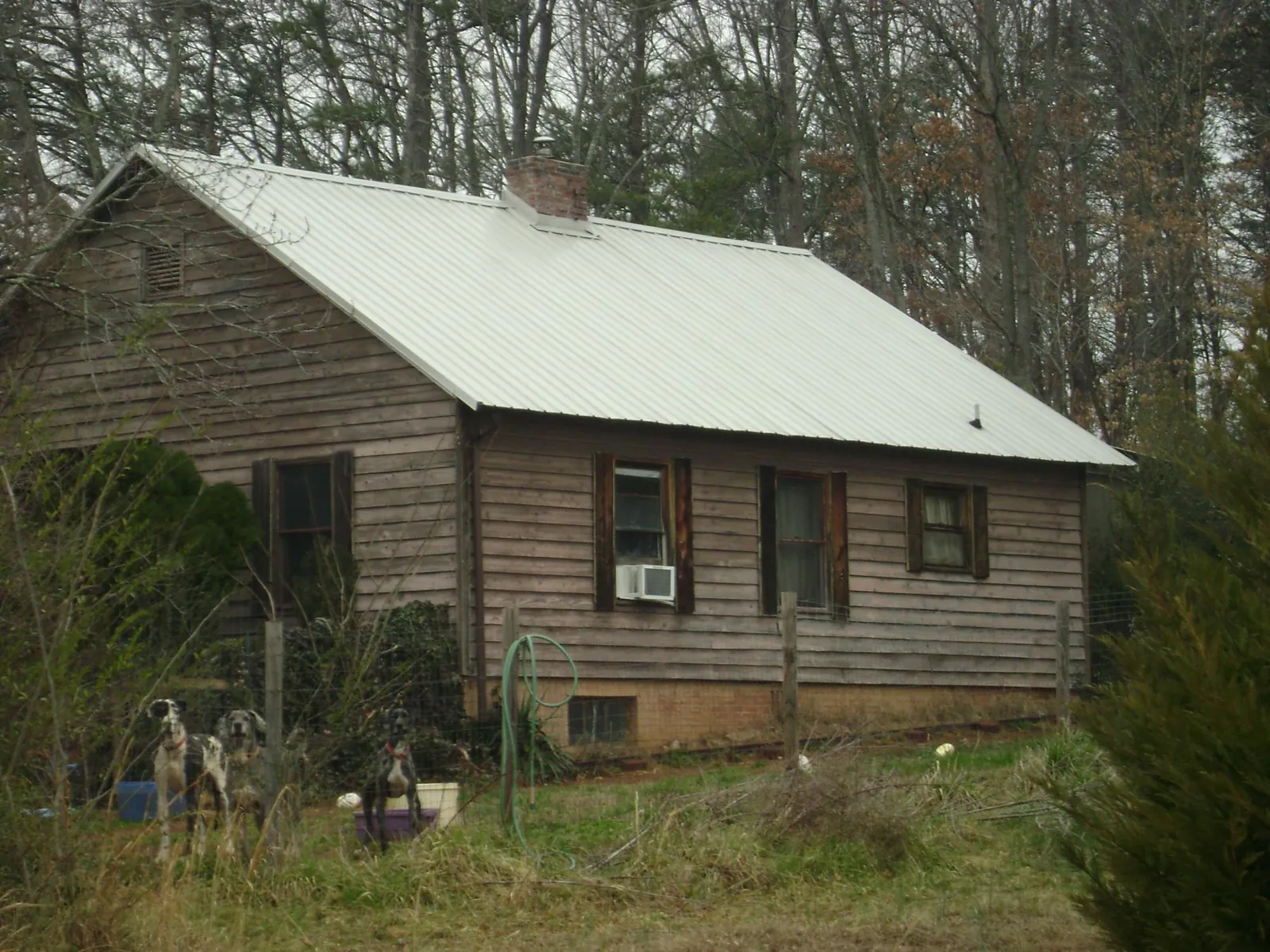 White metal roof on an old wood sided farmhouse, from a Metal Roof Installation job in Sandpoint